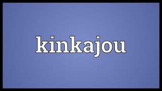 Kinkajou Meaning [upl. by Ddart703]