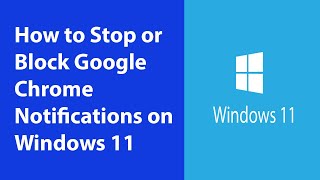 How to Stop or Block Google Chrome Notifications on Windows 11 – Quick Guide [upl. by Kelby]