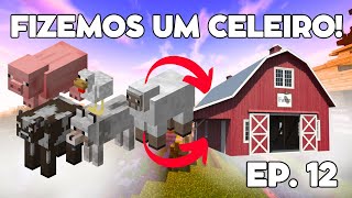 EP 12 AGORA NOSSA VILA TEM UM CELEIRO [upl. by Anigroeg]