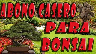 Como hacer abono para bonsai tamahis caseros muy facil [upl. by Lamag259]