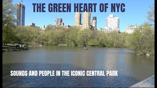 CENTRAL PARK IL CUORE VERDE DI MANHATTAN [upl. by Adiaj]