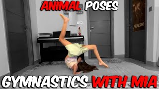 Animal themed gymnastics [upl. by Jandel]