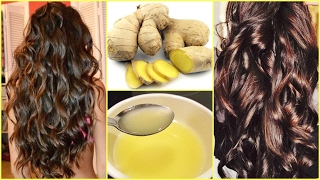 Homemade Ginger Hair Oil For Extreme Hair Growth Hair Loss │DIY GINGER HAIR MASK SILKY SHINY HAIR [upl. by Esinereb]