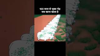 100 साल से भूखा भेड़ जब खाना खाता है 😂। Funny cartoon funny explanation memes [upl. by Tica]