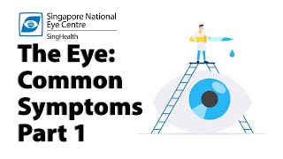 Common Eye Symptoms Part 1 Blurred Vision Cloudy Vision Halos and Glare [upl. by Akirret]