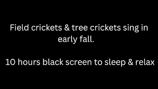 Field crickets amp tree crickets sing early fall cricket sounds 10 hours black screen to sleep amp relax [upl. by Thecla]