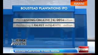 Boustead Plantations to raise RM928 million [upl. by Hnahym59]