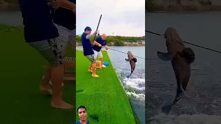 Village Traditional Bamboo Tools Polo Fishing Video Part300 fishingshorts​ fishing​ shorts [upl. by Aneekas416]