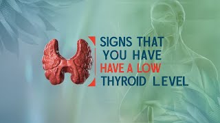 Key Symptoms of Low Thyroid Levels You Shouldnt Ignore  hypothyroidism  Thyroid [upl. by Wilmott]