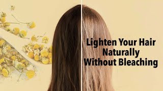 Lighten your hair naturally without bleaching miracle of camomile teaNZ HAIR LIGHTENING [upl. by Draned189]