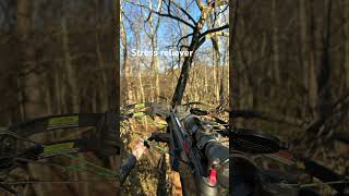 Hunting is the best stress reliever music lyrics song sunset [upl. by Onitrof838]