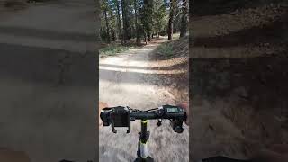 Mountain Biking Mt Pinos Trail California short [upl. by Ecinereb422]