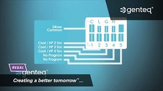 Furnace Motor HowTo Genteq X13 Motor Connections [upl. by Cohleen]