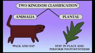 Prokaryotic and Eukaryotic Cell  Five Kingdom Classification System [upl. by Jacobba]