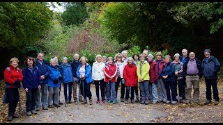 Walking Group Cliveden 20 October 2017 [upl. by Tillio481]