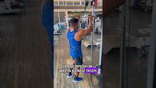 Rutina de tríceps gym gymlife gymmotivation gymlover [upl. by Yrmac]