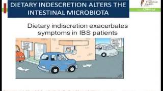 IBS and the Microbiota [upl. by Gonyea]