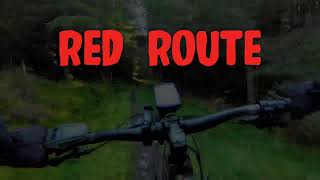 Red Route  Kielder Deadwater Trails [upl. by Doralynne721]