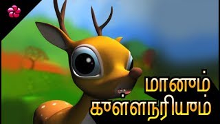 DEER and JACKAL ♥ Pattampoochi tamil cartoon story for children ♥ Tamil animation stories for kids [upl. by Brannon116]