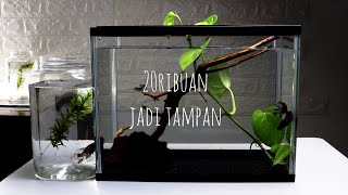 Makeover Aquarium Ikan Cupang MURAH tapi KEREN [upl. by Lorusso892]