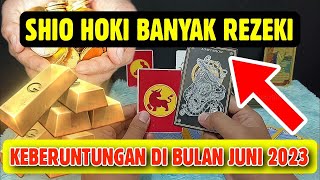 6 SHIO HOKI REZEKI MELEJIT DI BULAN JUNI 2023 [upl. by Atkins]