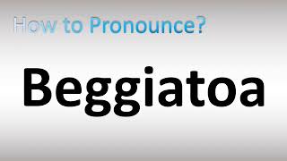 How to Pronounce Beggiatoa [upl. by Ydeh]