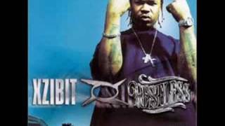 xzibit alcoholic [upl. by Slaohcin]