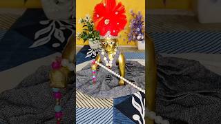 radhey radhey devotees krishna kanha ytshorts [upl. by Ediva985]