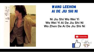 Wang LeeHom  Ai De Jiu Shi Ni  爱的就是你 Lyrics  Song and Lyrics New Version [upl. by Feriga]