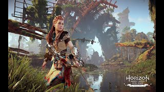 Horizon zero down  Buscando a Platina [upl. by Padraic502]