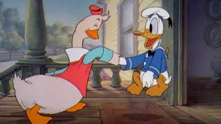 Donald Duck cartoons compilation 10 full episodes [upl. by Ozner]