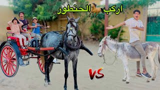 لما تشتغل انت واخوك الصغير علي حنطور في السياحة 🐎😂 علاء حسين [upl. by Cohe]