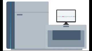 Whole genome sequencing From sample to report [upl. by Saidnac]