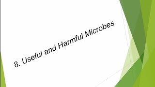 Class 9 Useful amp harmful microbes question answers  Science  Maharashtra board [upl. by Reace109]