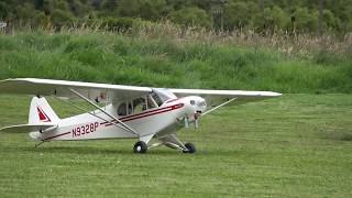 BALSA USA SUPER CUB 13 SCALE [upl. by Tait]