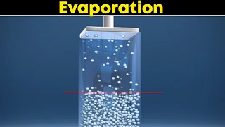 Evaporation ⚡3d animation  Class 9 Chemistry [upl. by Nary]