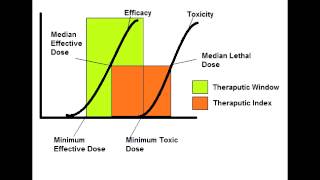 Therapeutic Index amp Therapeutic Window [upl. by Mirth]