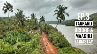 Tarkarli Bridge amp Maachli Farmstay Konkan Diaries  Vengurla [upl. by Nosemyaj979]