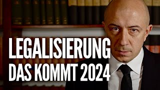 Das kommt 2024 Besitz Anbau Grenzwert im Straßenverkehr [upl. by Airotnahs]