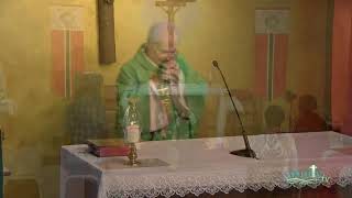 Holy Mass Saturday of the 21st Week in Ordinary Time  31st Aug 2024 [upl. by Odnalor]