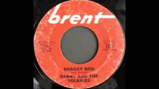 DANNY AND THE VELAIRES  SHAGGY DOG [upl. by Darb672]