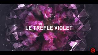 GANYMED le trèfle violet le plus brillant de sa génération [upl. by Rexanna]