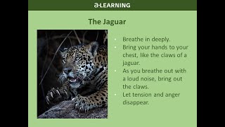 Release Tension amp Stress  The Jaguar  Breathing amp Mindfulness [upl. by Licec420]