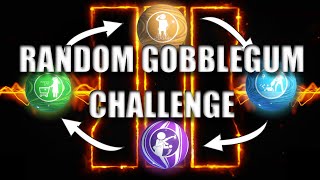 I Tried To Beat The Random Gobblegum Challenge Custom Workshop Mod [upl. by Auqinimod451]