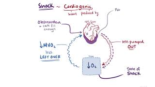 Shock  Osmosis [upl. by Essined]