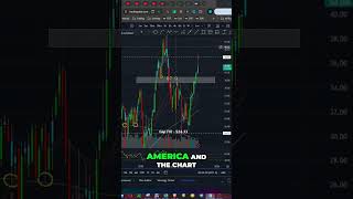 Warning Berkshire Hathaways 800M Bank of America Stock Dump shorts [upl. by Anelrac]