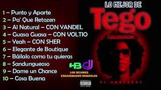 Lo Mejor de Tego Calderon Reggaeton  HBDJ [upl. by Sanalda54]