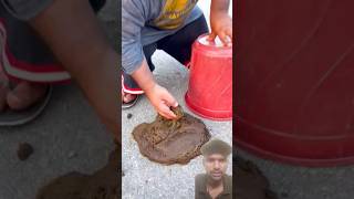 Cake samjh ke gobar me daal diya hand funny shorts tranding comedy [upl. by Nevak]