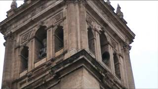 Volteos de campanas de la catedral de Jaén [upl. by Sascha823]