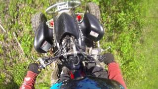 Buying a used Honda TRX 450R 2005 race quad [upl. by Jaddan961]